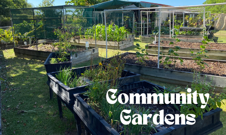 Community Gardens Web Tile 750 x 450
